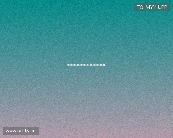 海星下载链接：快速获取最新版本，畅享全面功能与稳定体验